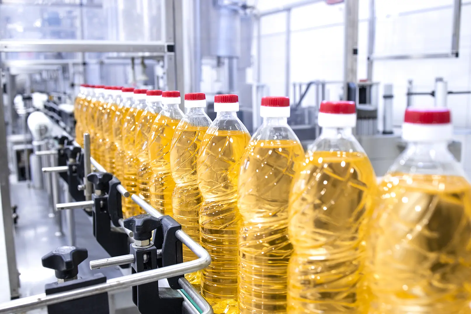 Import of Edible Oils0001